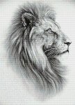 (image for) Lion